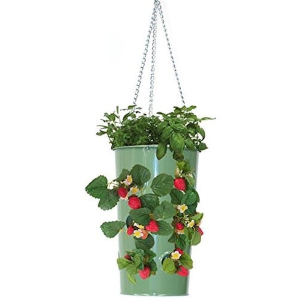 Houston International Trading 8395E AG Enameled Galvanized Hanging Strawberry; Floral Planter - AppleGreen 8395E AG - main